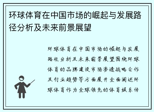 环球体育在中国市场的崛起与发展路径分析及未来前景展望